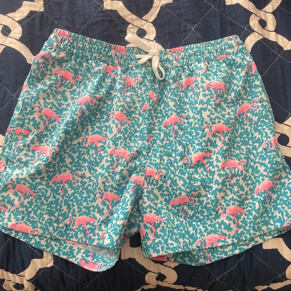 Chubbies Teal and Pink Swim Shorts